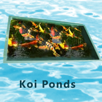 Koi Ponds